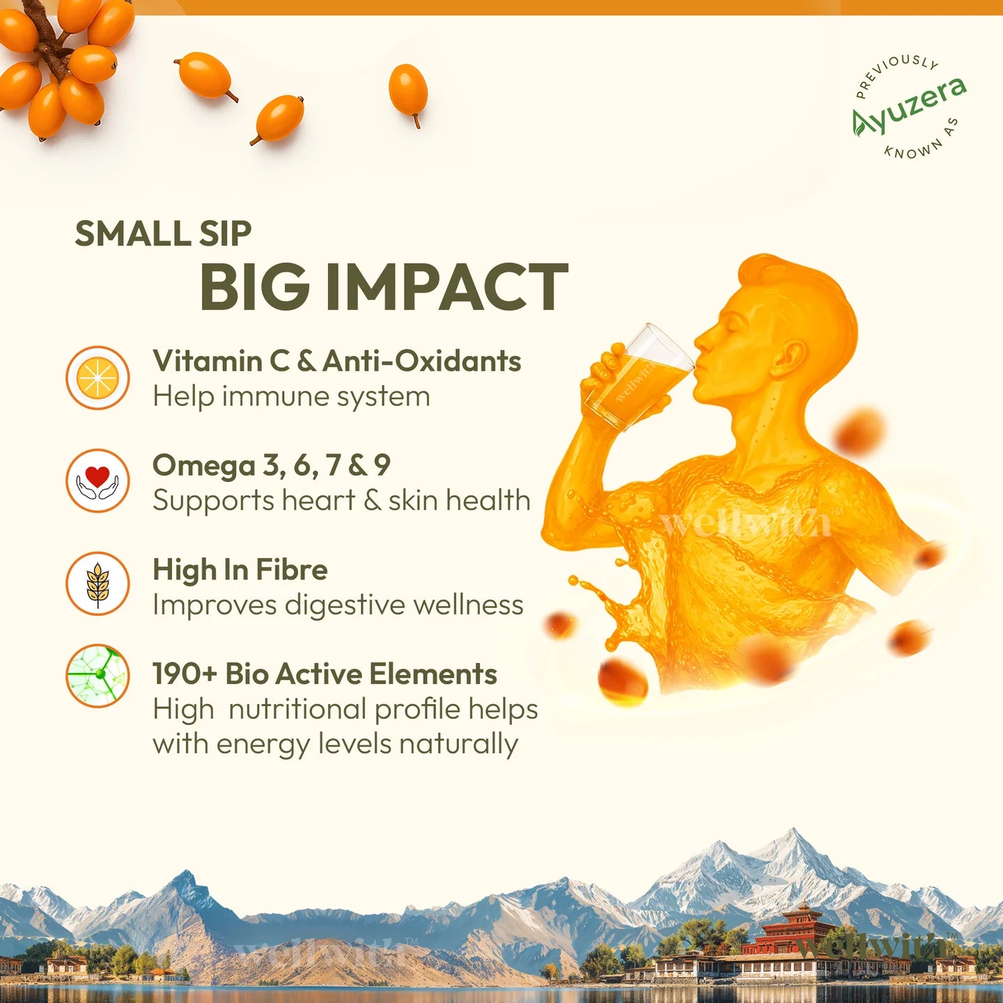 Sea Buckthorn Juice (Pulp) 300ml