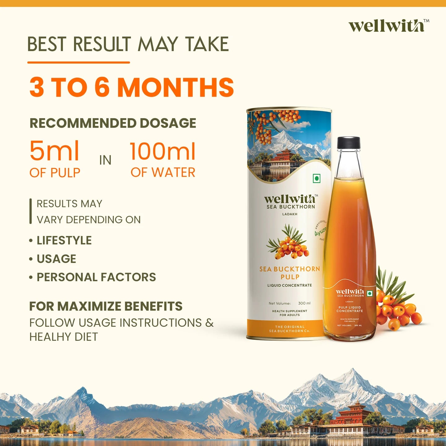 Sea Buckthorn Juice (Pulp) 300ml